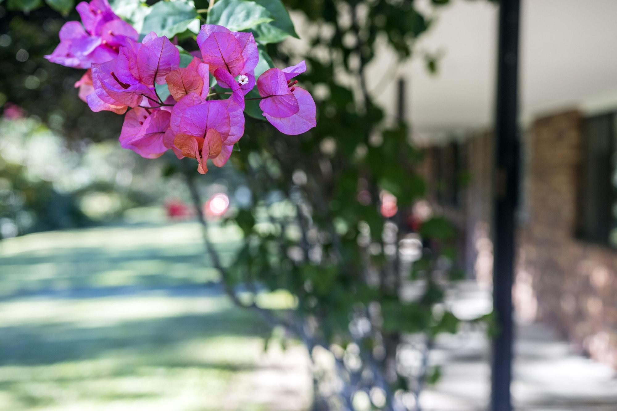 Cedar Creek 4* Gold Coast