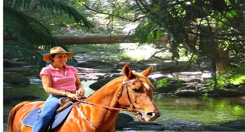 Cedar Creek Gold Coast