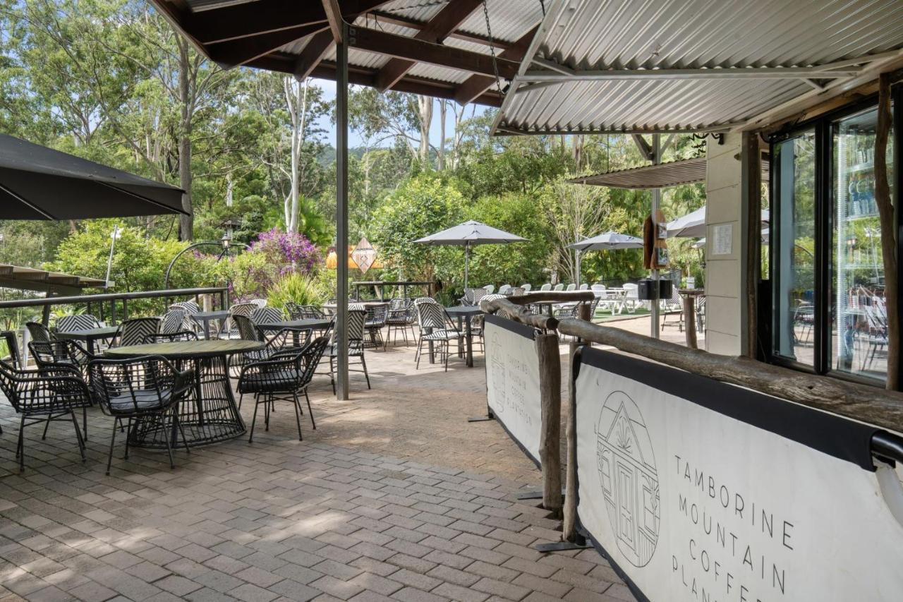 Cedar Creek Gold Coast